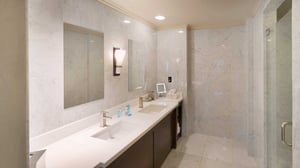 Presidential Suite View of Washroom