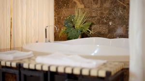 Diplomat Suite View of Washroom