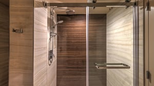 Vista King Room view of shower