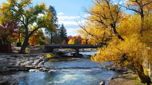 Truckee River in Autumn