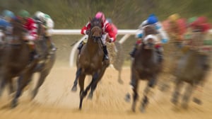 image of horse racing